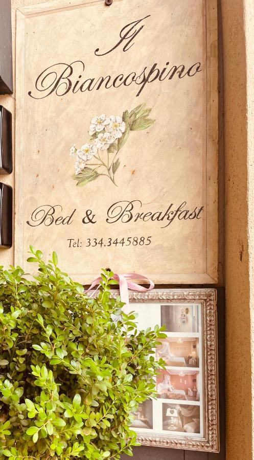 B&B Il Biancospino Abbadia San Salvator Buitenkant foto