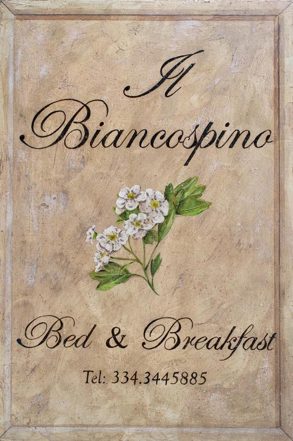 B&B Il Biancospino Abbadia San Salvator Buitenkant foto